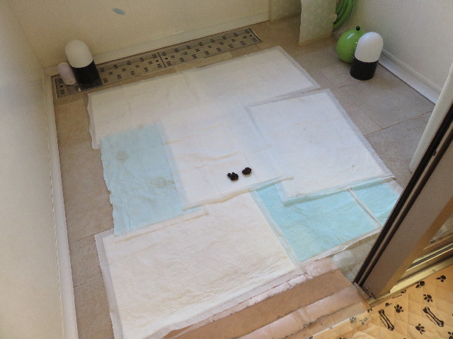 ファイル 4489-5.jpg