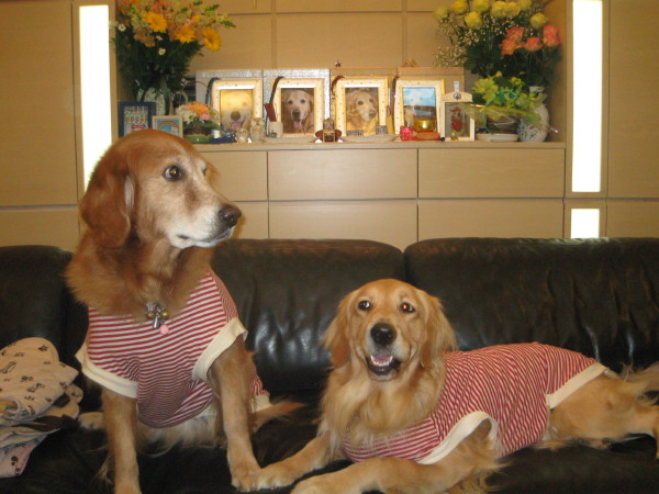 ファイル 449-5.jpg