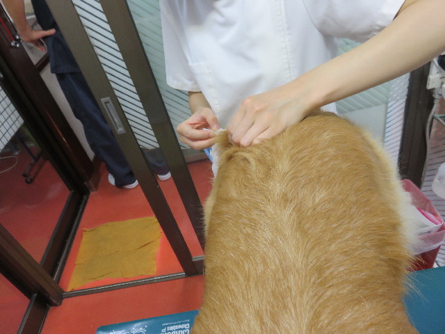 ファイル 4490-4.jpg