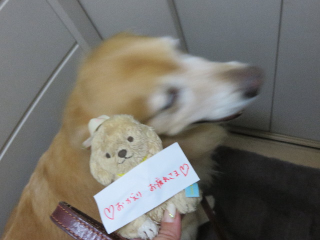 ファイル 4490-5.jpg