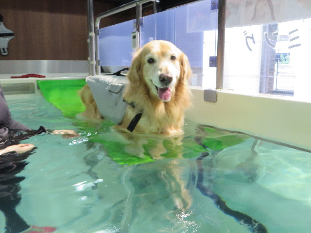 ファイル 4494-2.jpg