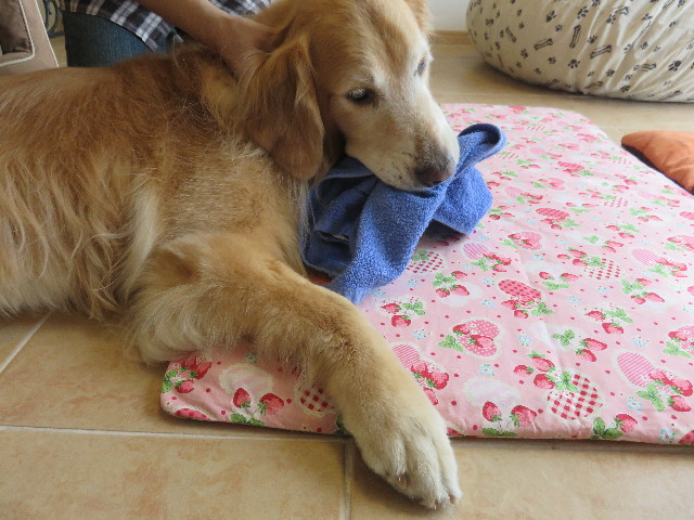 ファイル 4496-4.jpg