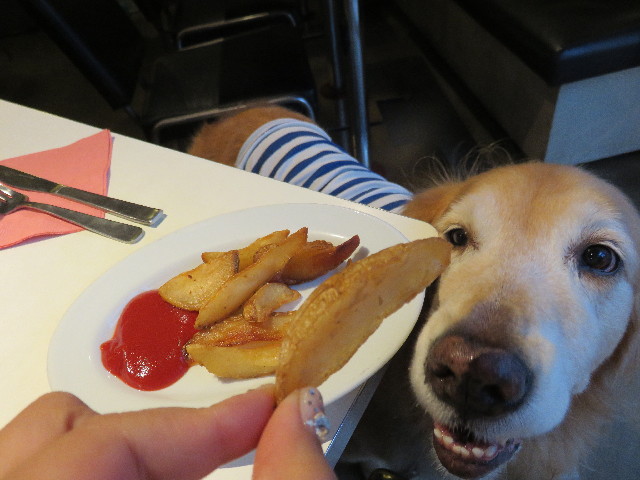 ファイル 4497-5.jpg