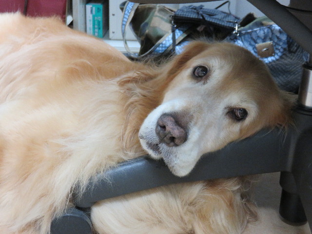 ファイル 4498-1.jpg