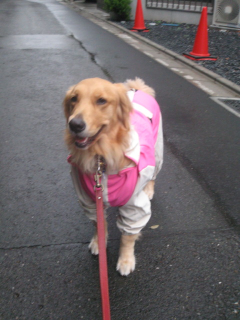 ファイル 450-2.jpg