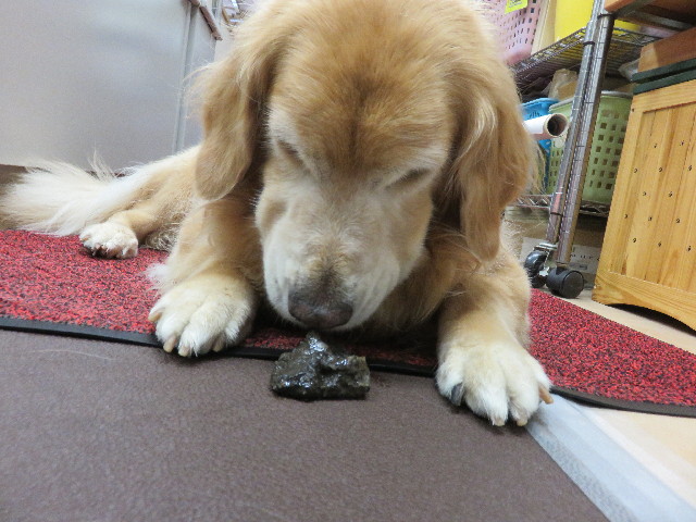 ファイル 4500-3.jpg