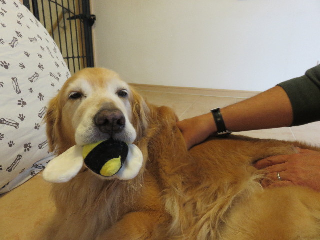 ファイル 4500-5.jpg