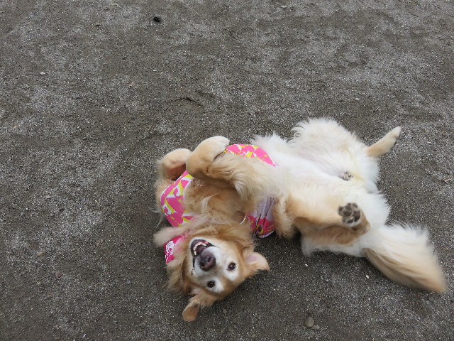 ファイル 4501-2.jpg