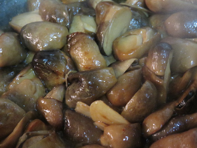 ファイル 4502-4.jpg