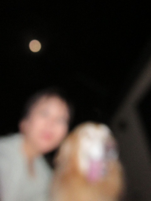 ファイル 4503-4.jpg