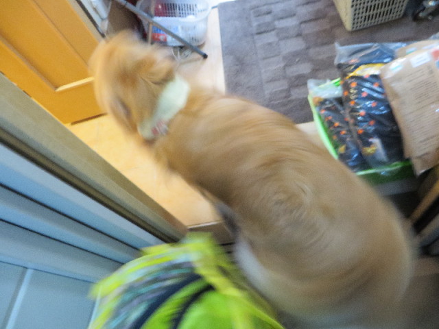 ファイル 4506-1.jpg