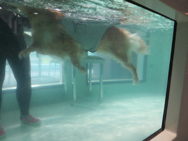 ファイル 4506-4.jpg