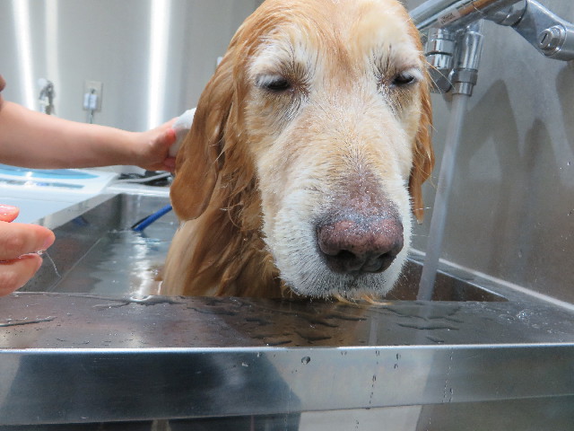 ファイル 4506-5.jpg