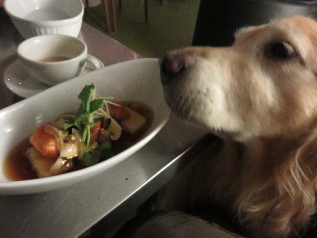 ファイル 4508-4.jpg