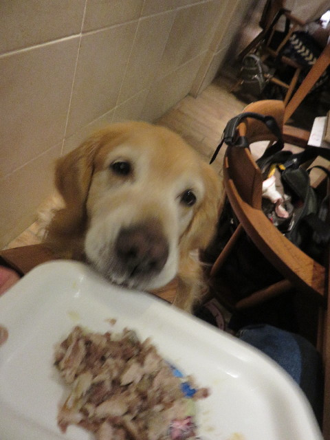 ファイル 4511-4.jpg