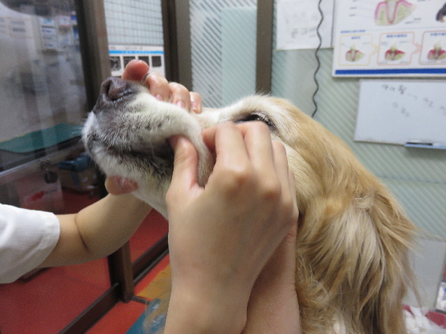 ファイル 4514-4.jpg