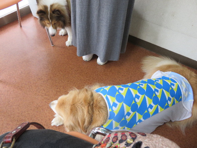 ファイル 4514-5.jpg