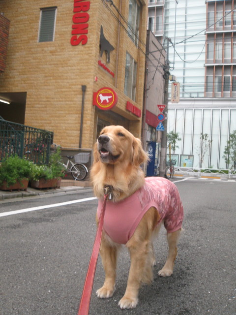 ファイル 452-1.jpg