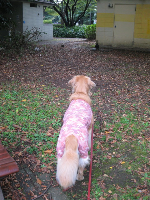 ファイル 452-4.jpg