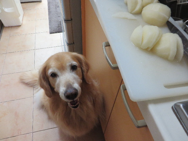 ファイル 4520-3.jpg