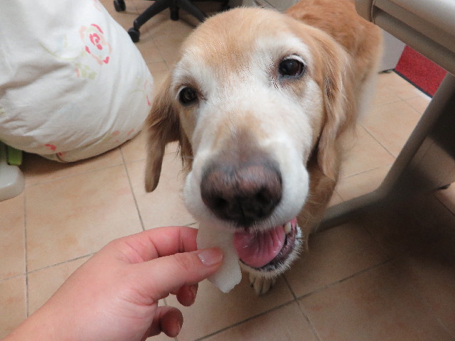 ファイル 4520-4.jpg