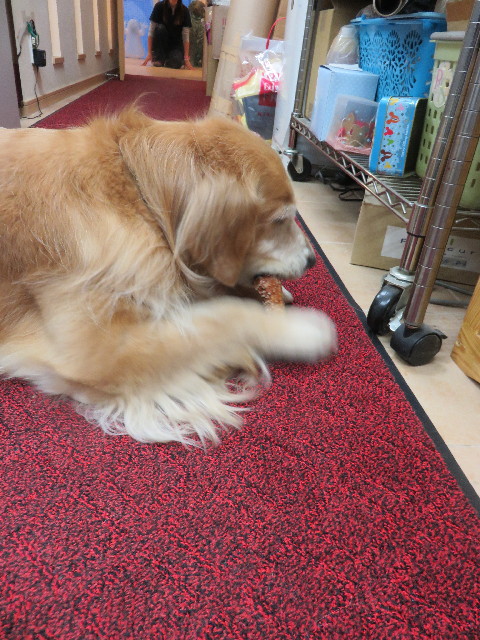 ファイル 4523-2.jpg