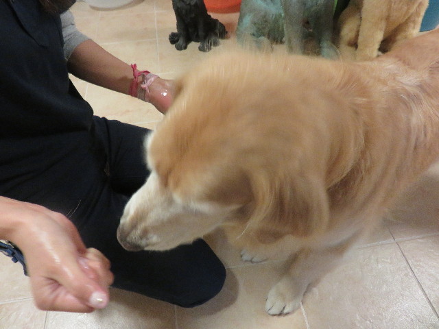 ファイル 4523-3.jpg