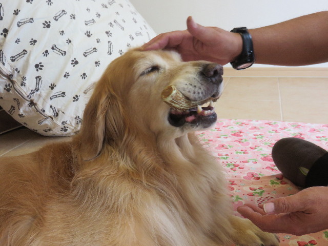 ファイル 4523-5.jpg