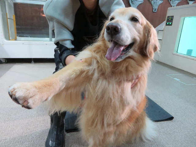 ファイル 4526-1.jpg