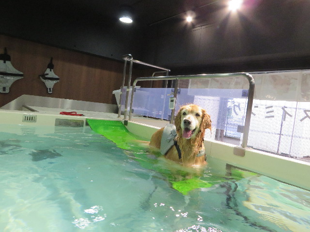 ファイル 4526-2.jpg