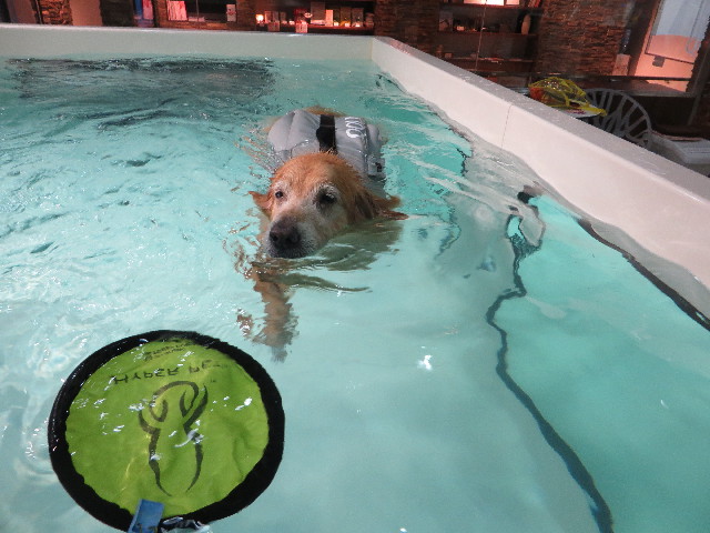 ファイル 4526-4.jpg