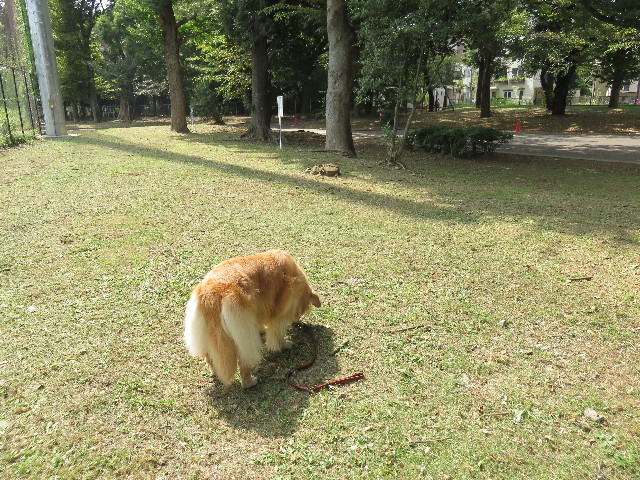 ファイル 4527-3.jpg