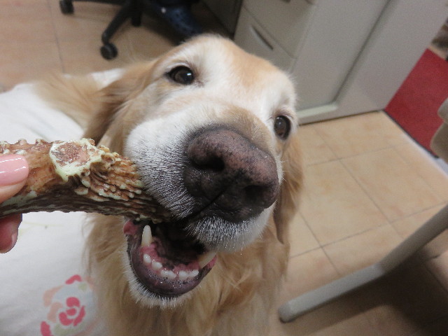 ファイル 4527-5.jpg