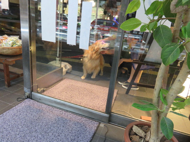 ファイル 4528-2.jpg