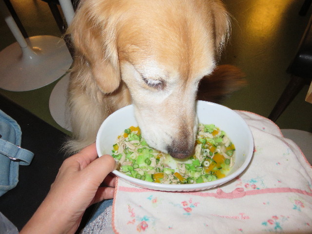 ファイル 4528-5.jpg