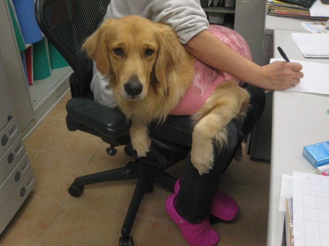 ファイル 453-1.jpg