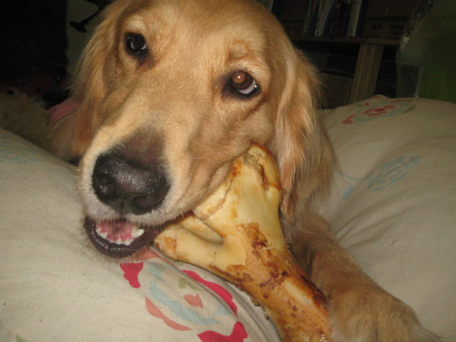 ファイル 453-2.jpg