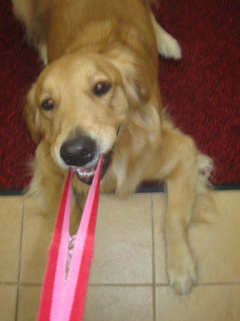 ファイル 453-3.jpg