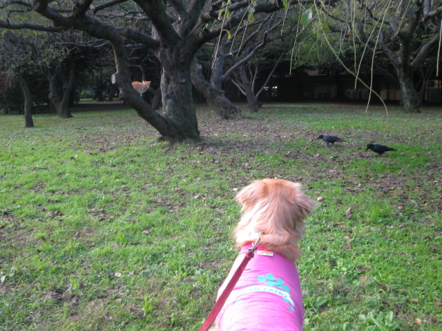 ファイル 453-4.jpg