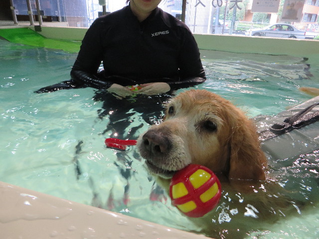 ファイル 4530-3.jpg