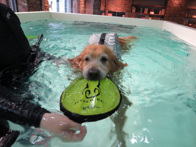 ファイル 4530-5.jpg