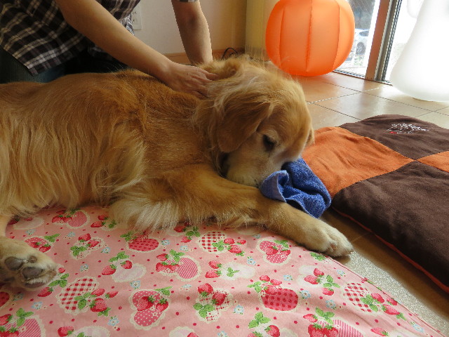 ファイル 4533-4.jpg