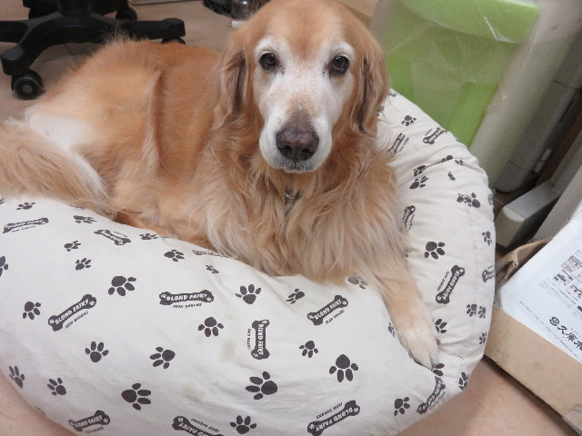 ファイル 4535-2.jpg