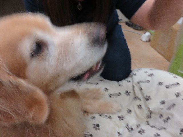 ファイル 4536-3.jpg