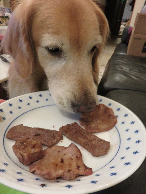 ファイル 4537-3.jpg