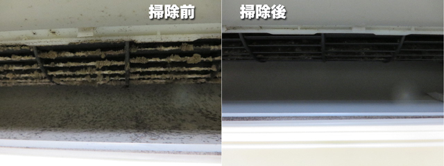 ファイル 4539-5.jpg