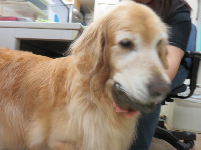 ファイル 4540-2.jpg