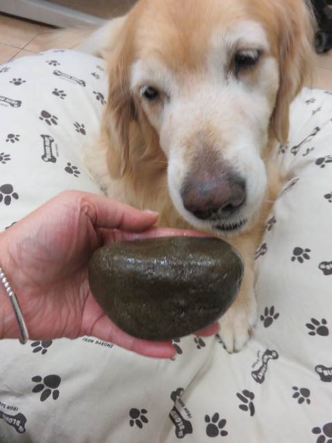 ファイル 4540-3.jpg