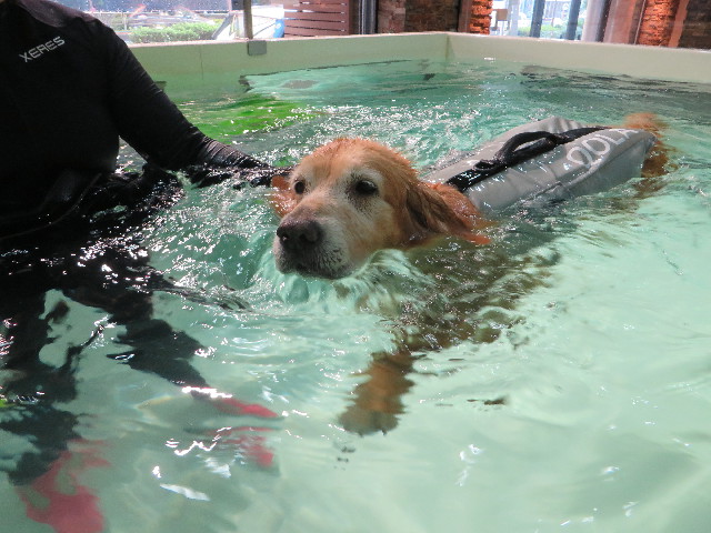 ファイル 4542-4.jpg