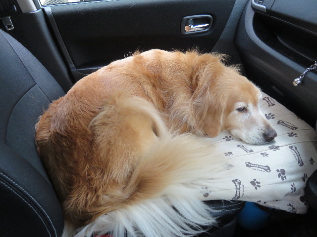 ファイル 4543-5.jpg